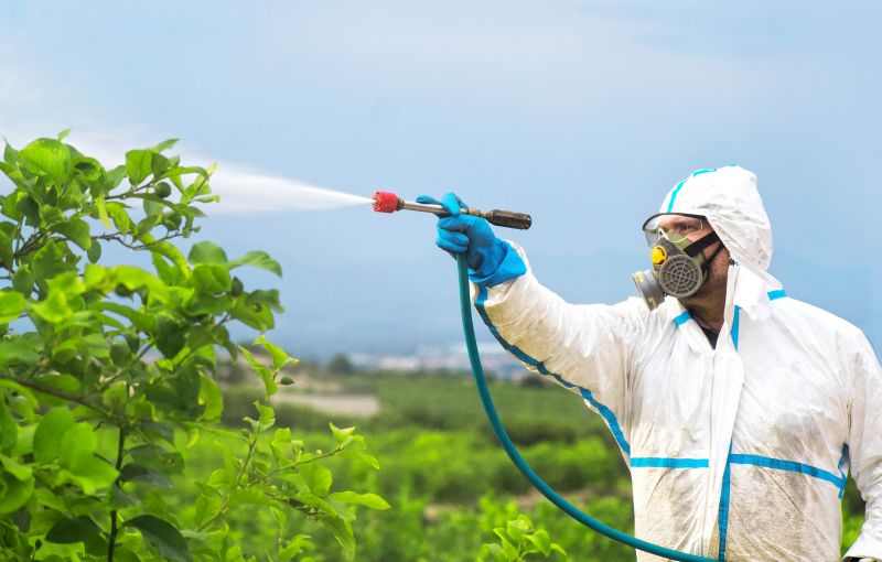 Fumigation Service in Tampa, FL