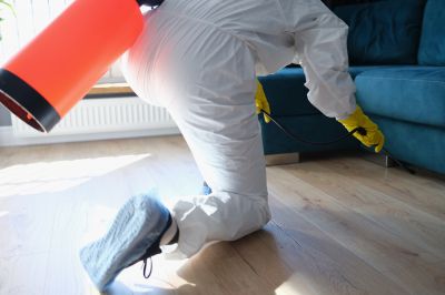 Rat Fumigation Service in Columbus, OH