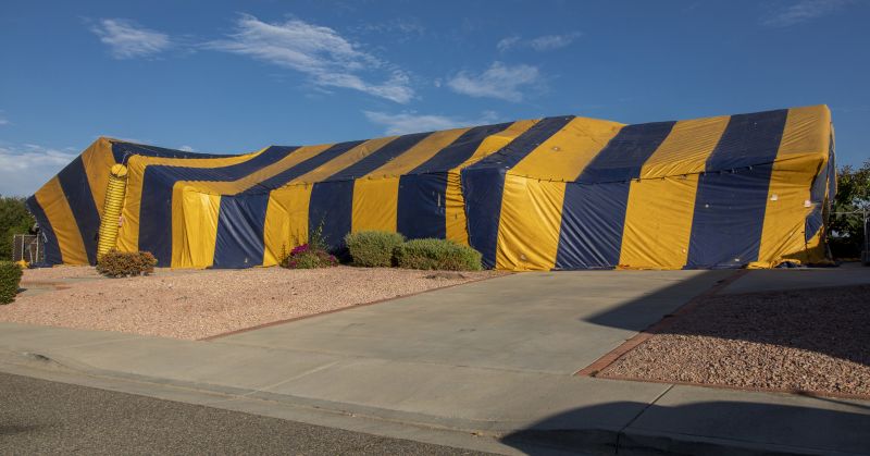 Termite Tenting in Cumming, GA